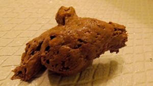 変態スカトロ女子旅 うんこが紡ぐうんこ友情  vr-0601